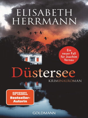 cover image of Düstersee